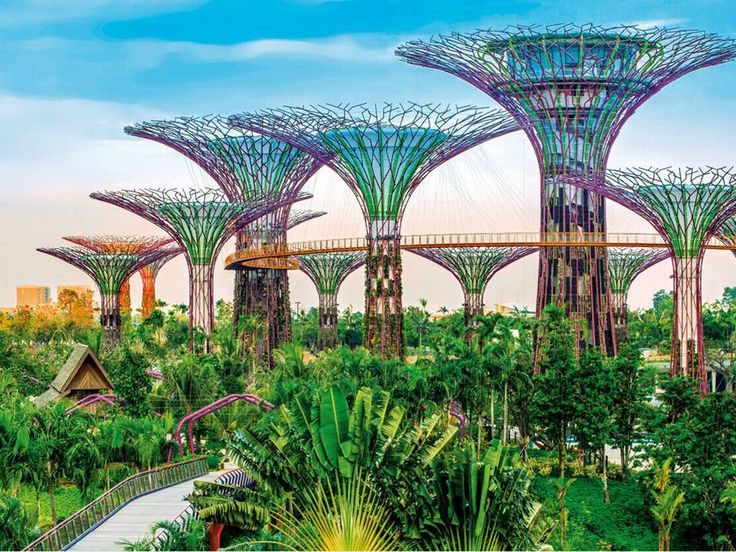 Gardens by the Bay