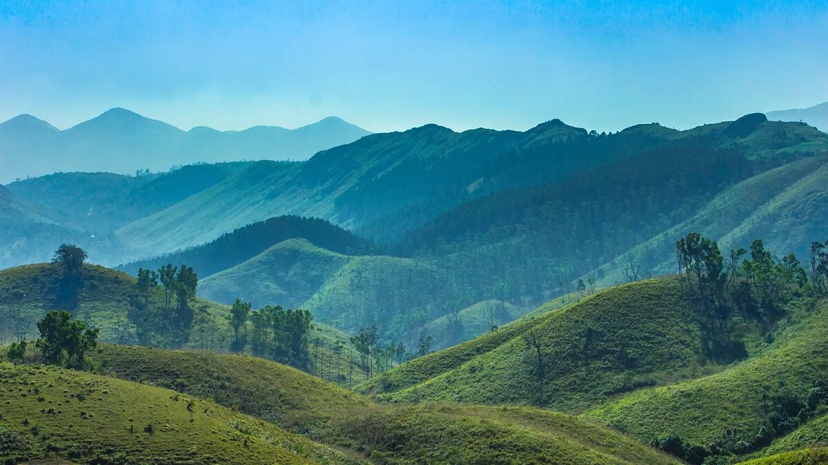 Vagamon