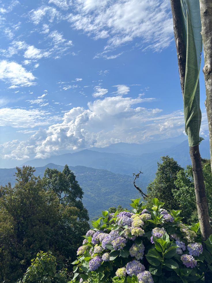 Kalimpong